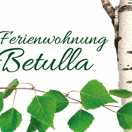 Betulla Apartment Schladming