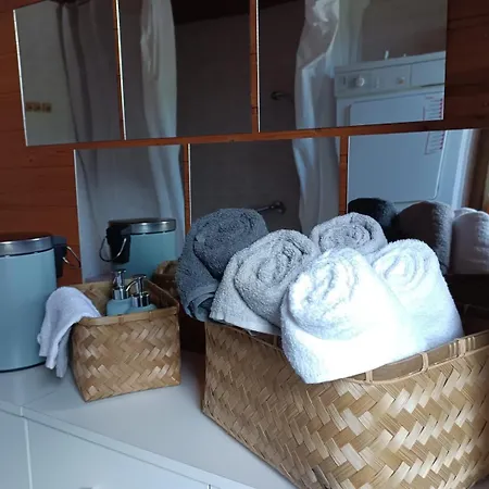 Apartamento Betulla Schladming