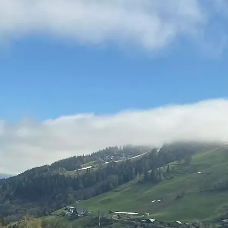 Apartment Betulla Schladming