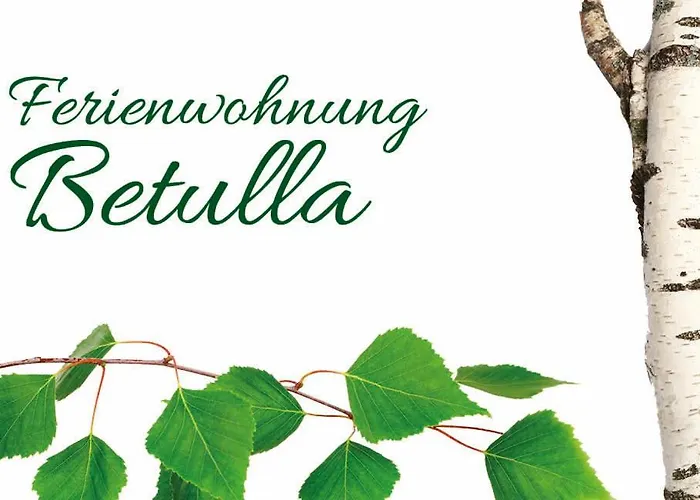 Betulla Schladming