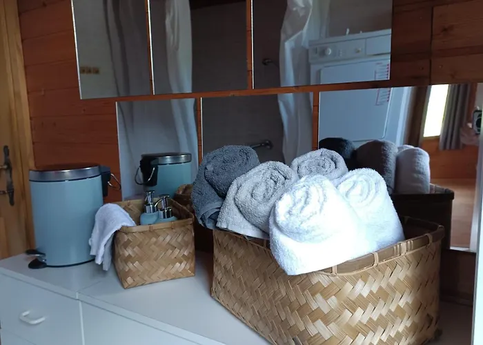 Apartment Betulla Schladming